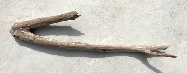 流木 XL　変形　　横１１９ｃｍ×直径　枝１９ｃｍ　枝２１ｃｍ