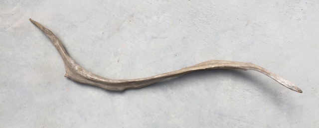 流木 XL　変形　　横１２５ｃｍ×直径　１７ｃｍ