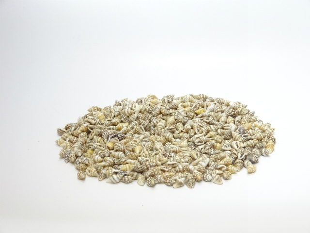 ナサ・ナチュラル