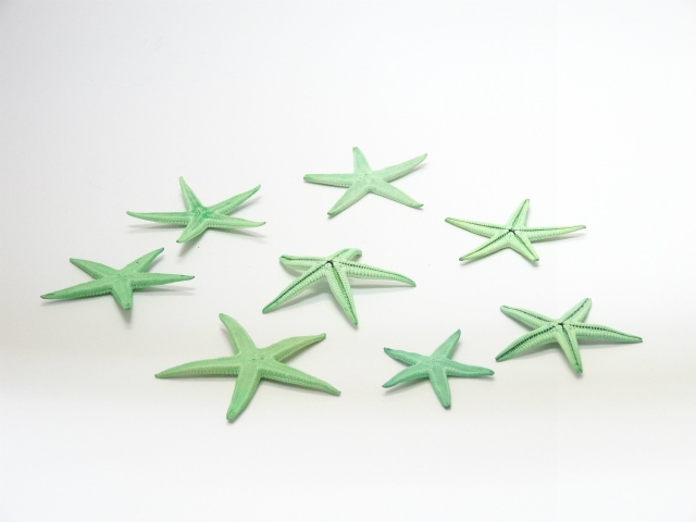 スターフィッシュ　ソフトグリーン　サイズ約３～６ｃｍ　　
