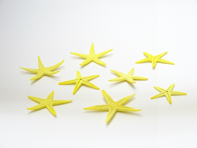 スターフィッシュ　ソフトイエロー　　サイズ約３ｃｍ～６ｃｍ