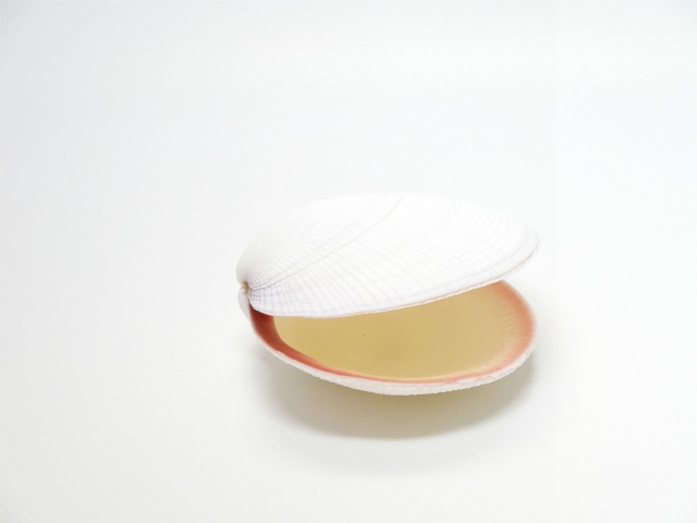 コダキアティゲリナ