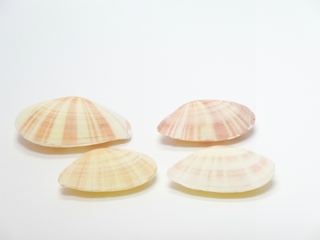 スヌーピー　(ペア)