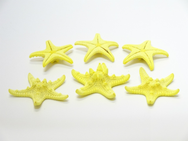 スターフィッシュ (ヒトデ) ドライフラワー卸売り販売のミルキーウェイ