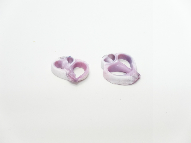 センターカット　セブビューティ