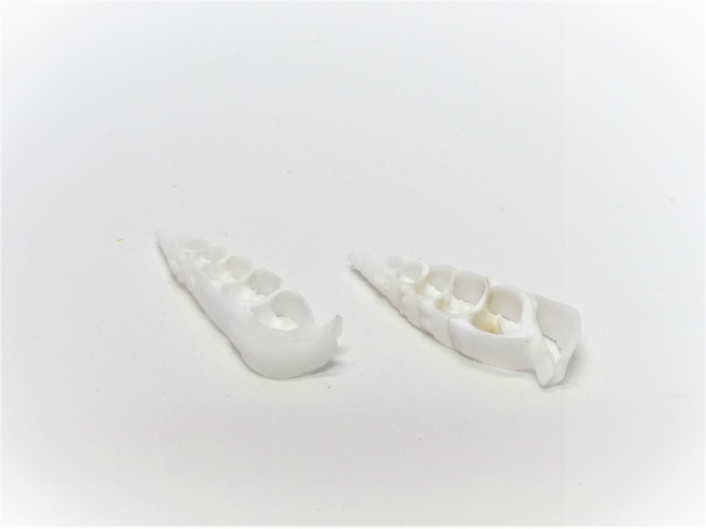 センターカット　バータガス