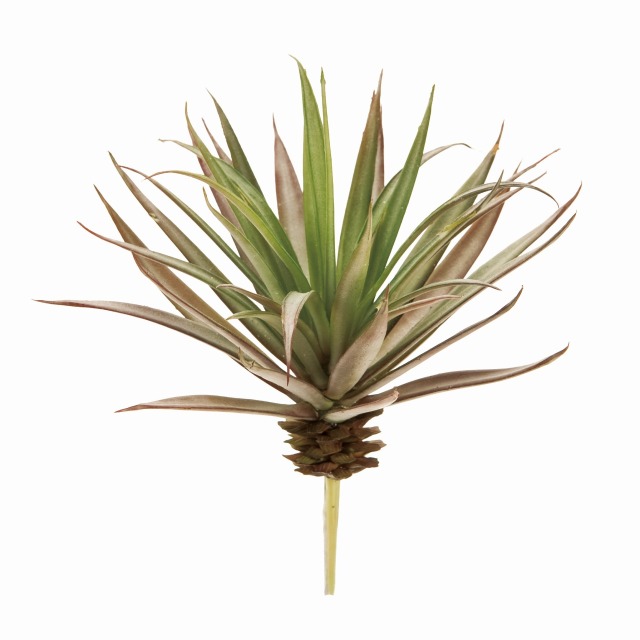 FG1343　アカベ　ミニ