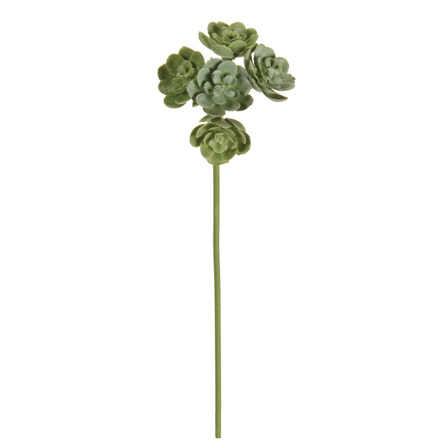 FG1864-24　ミニエケベリアピック　グリーン