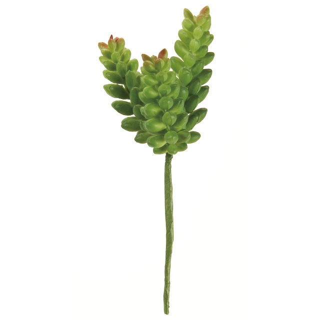 FG3323　サンディセダムピック