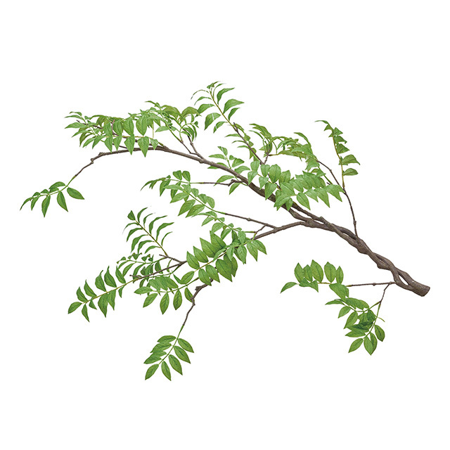 ウィステリアハンギングＭ ＧＲＥＥＮ　FG302220