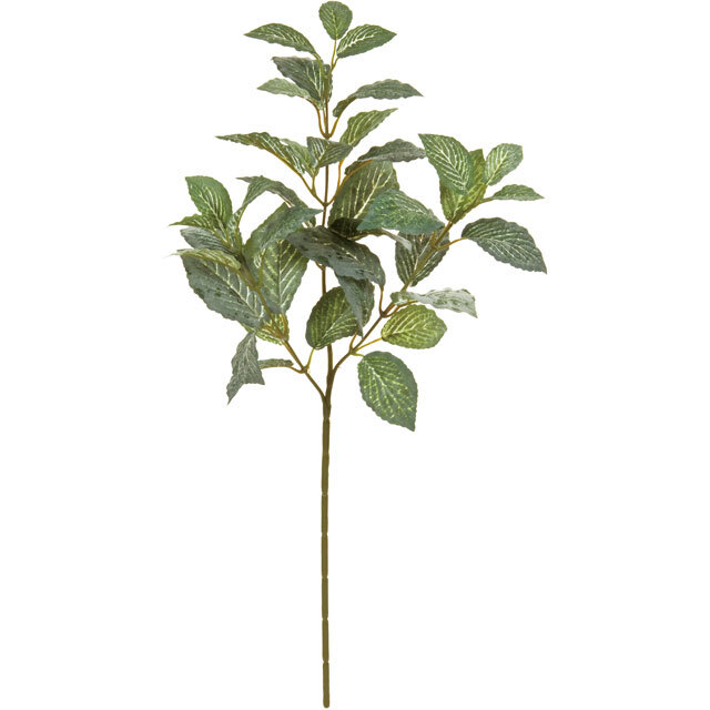 フィットニアリーフスプレー ＧＲＥＥＮ　FG008082