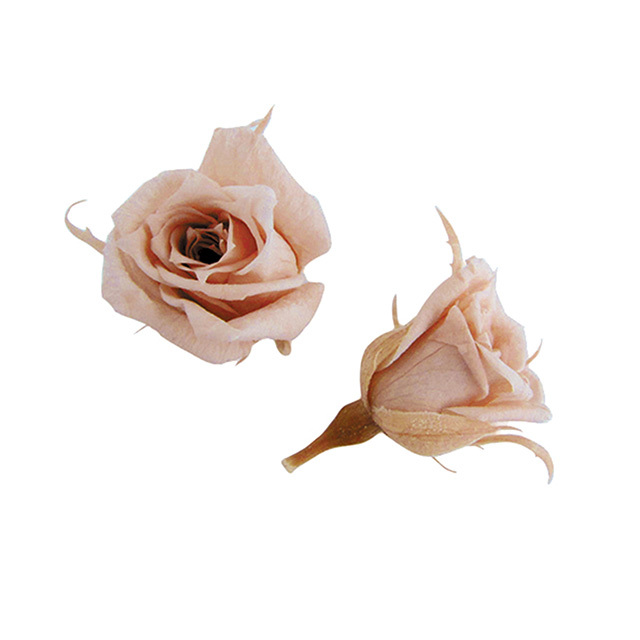 マイクロローズ　ヌードピンク　FL060-55