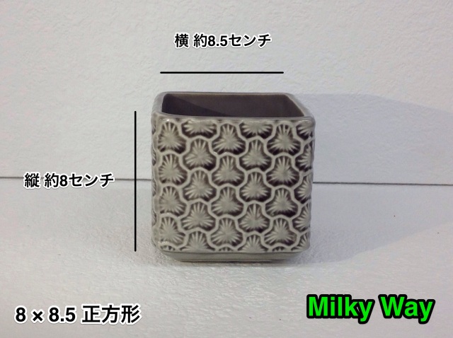 milkyway