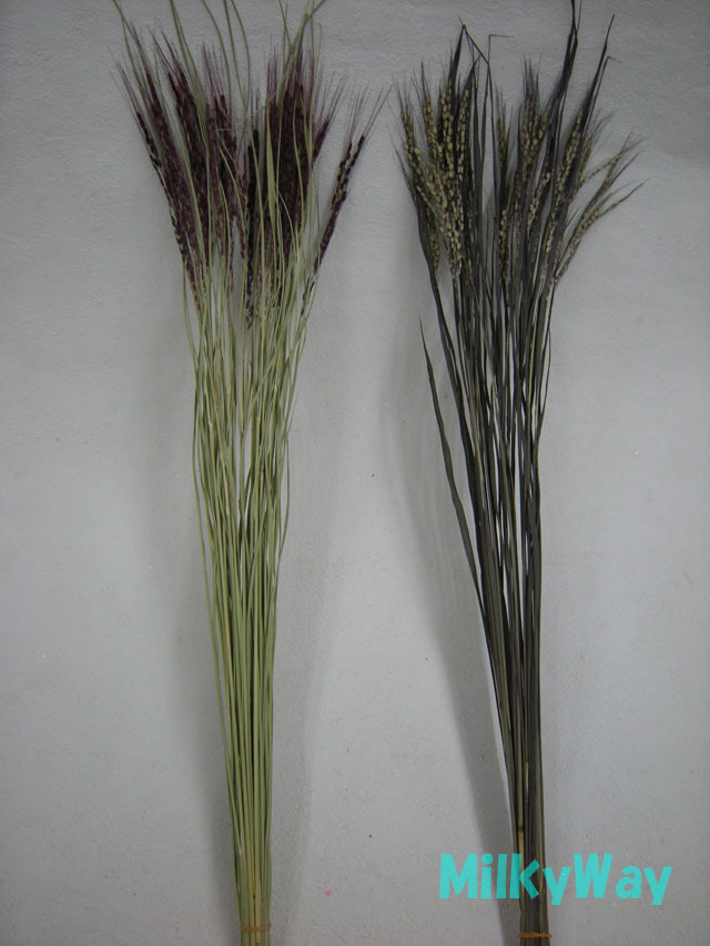 ミルキーウェイオリジナル1373ＭＷ