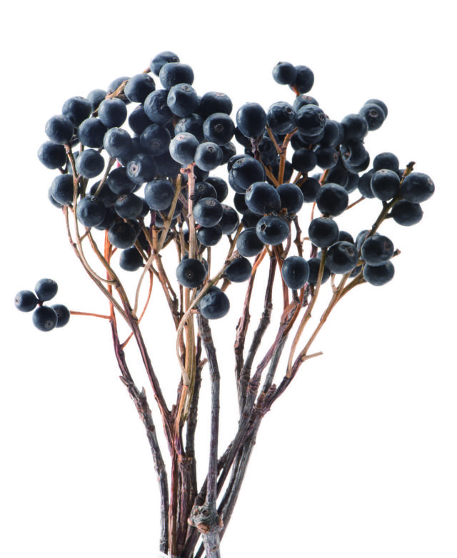 シャリンバイ・N　40160-000