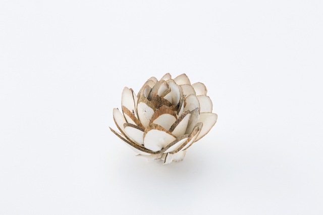 ソーラーミニダリア・白(N) 