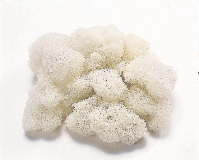 フィンランドモス・白　61151-011