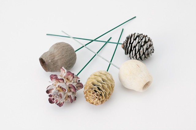 アフリカンコーン・ステム付　　N