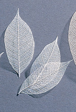 ミニスケルトンリーフ・小・白　51493-011