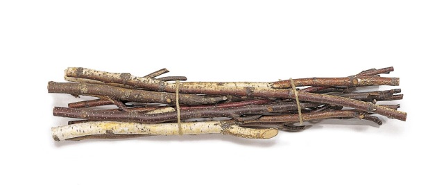 白樺長枝バンドル　75770-000