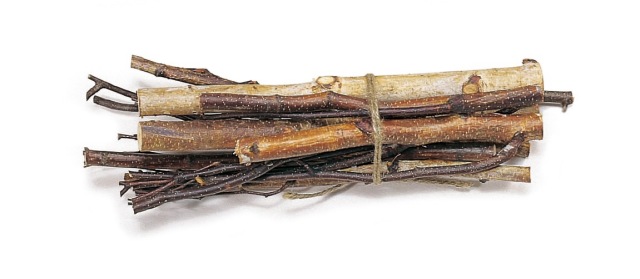 白樺太枝バンドル