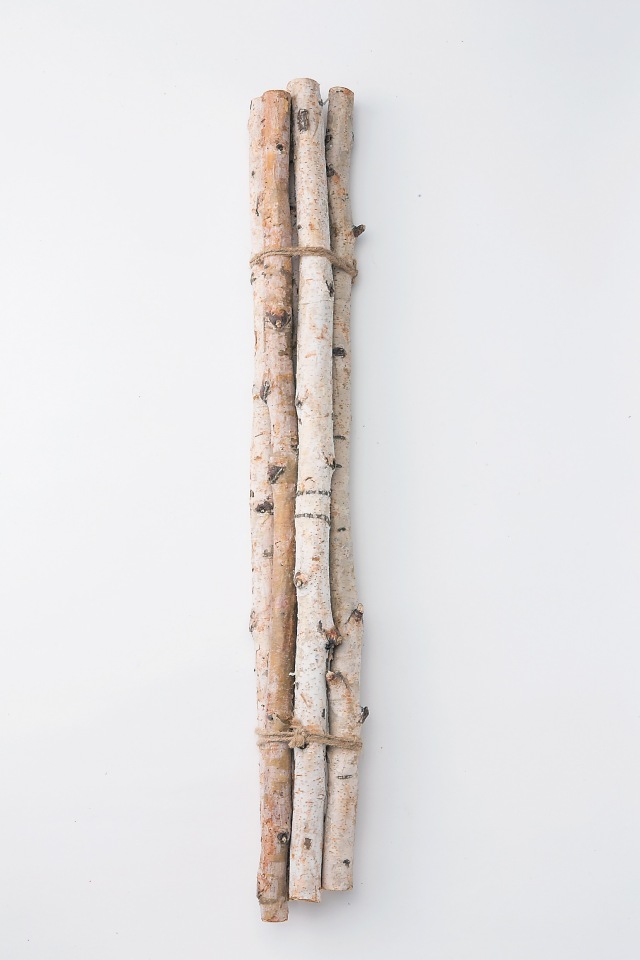 白樺枝・７０cm・N　　