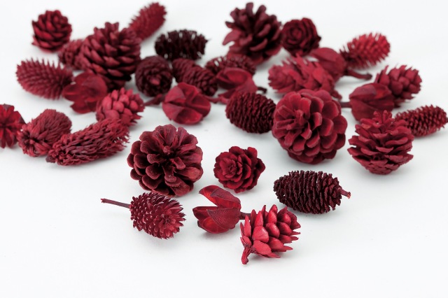 レッドコーンアソート・レッド