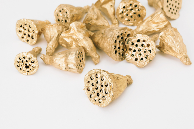 -ミニハス・大・ゴールド　22411-902