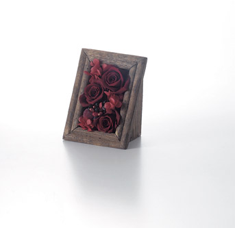 ウッドフレームコンポート　S