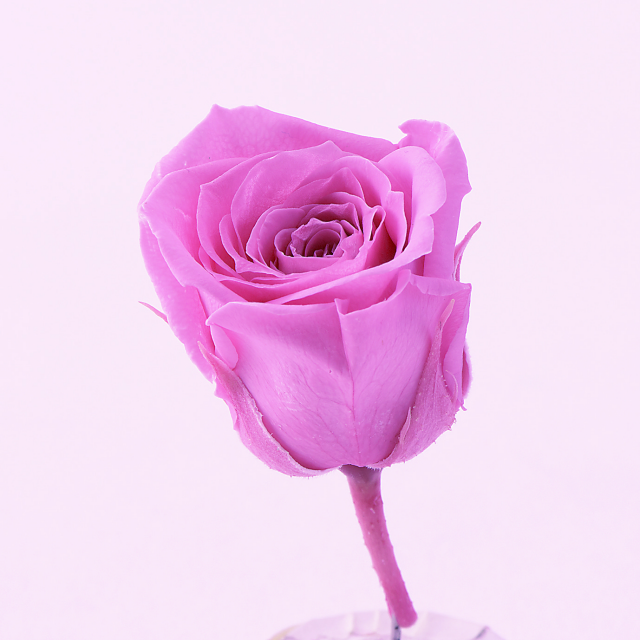 ビビアン・ミニセレクション　 バニラピンク　02371-133