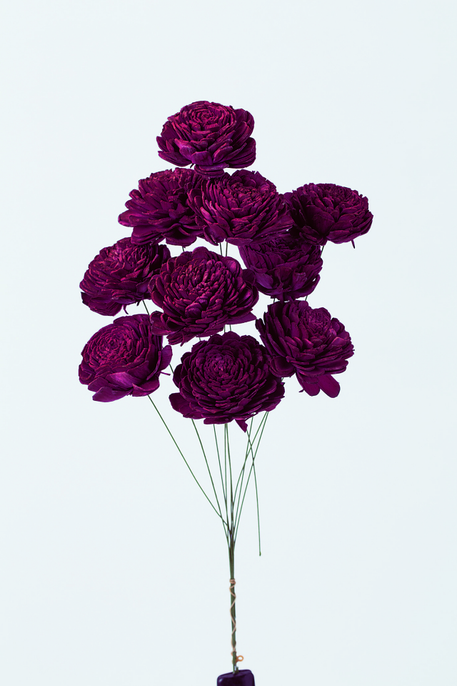 ソーラーローズ・大　ワインレッド　32083-470