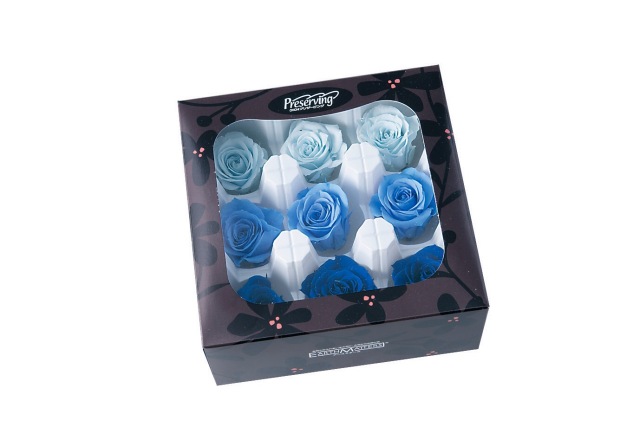 ローズ・いずみ・カラーアソート　ブルーミックス 03484-660