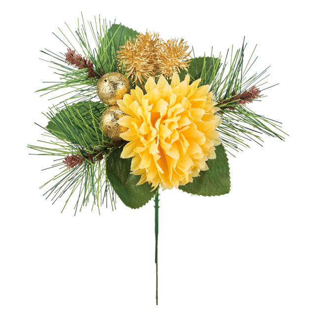 早春朱子玉ピック XJ1866