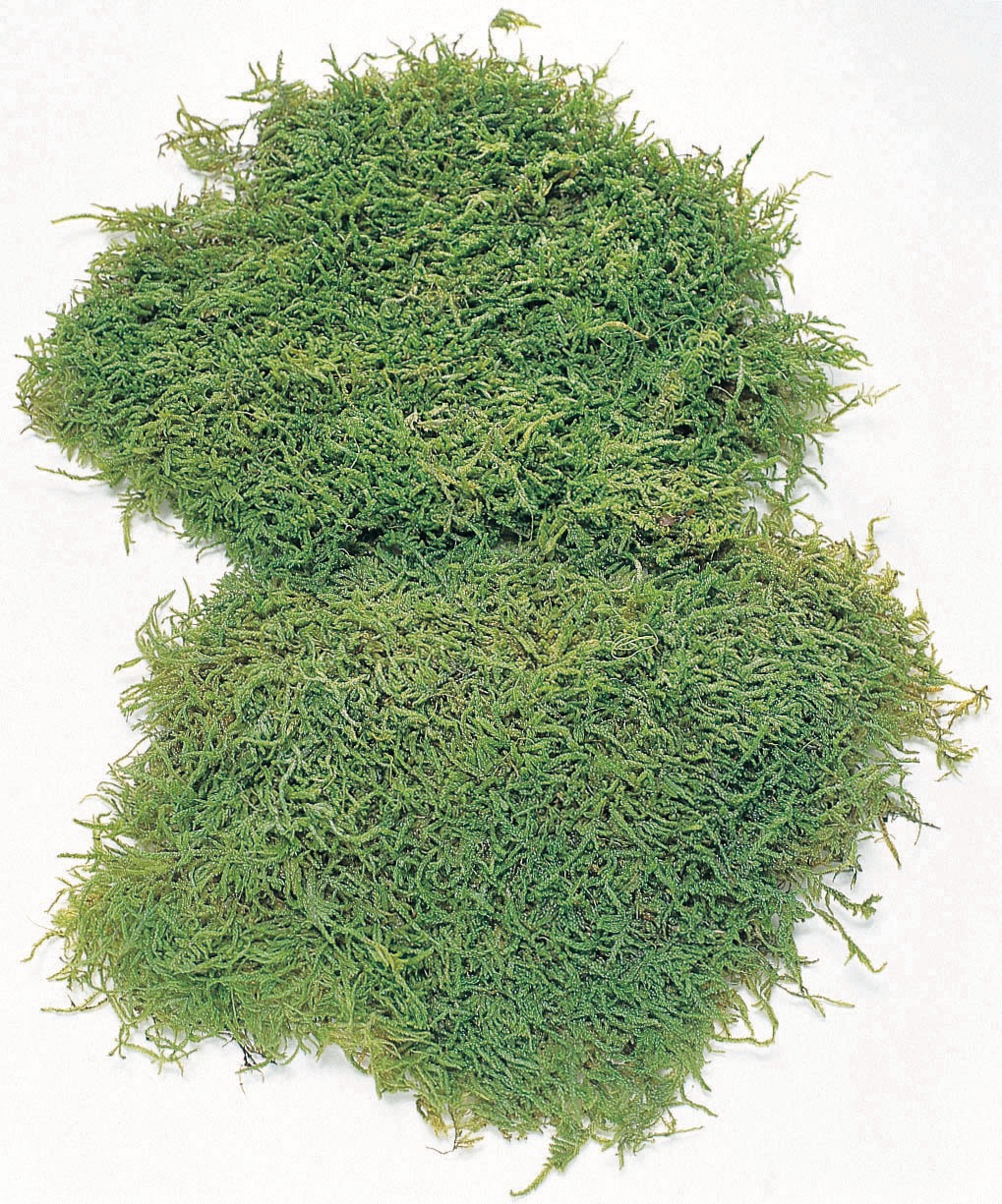 シートモス・ソフト・小　グリーン 　61091-707