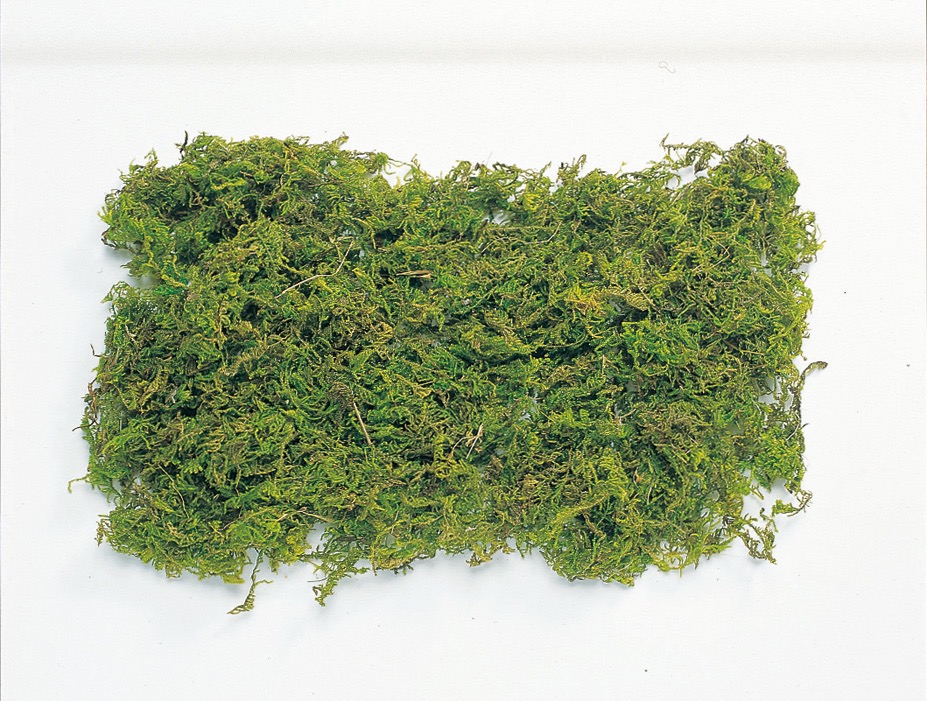 山ゴケ・グリーン　61170-700