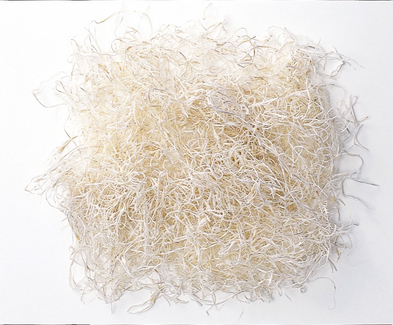 スパニッシュモス・ソフト・小袋　白　61061-011