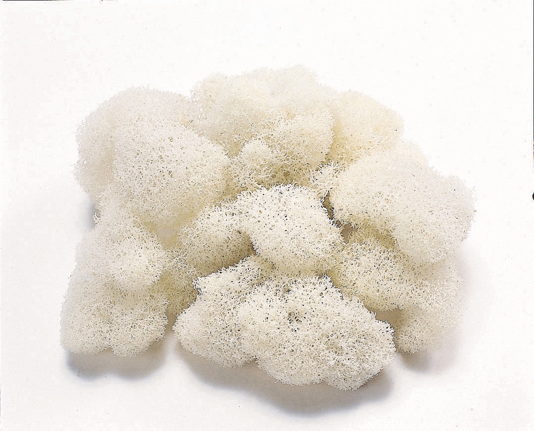 フィンランドモス・白　61151-011