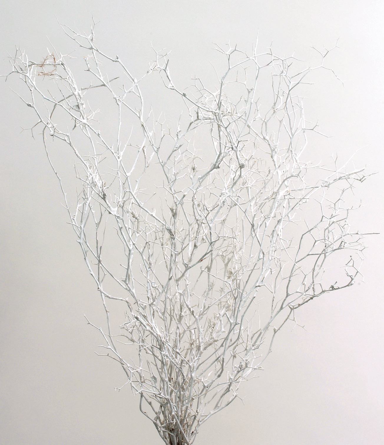 ヴェスペネスト・プリザーブド　白　02740-012