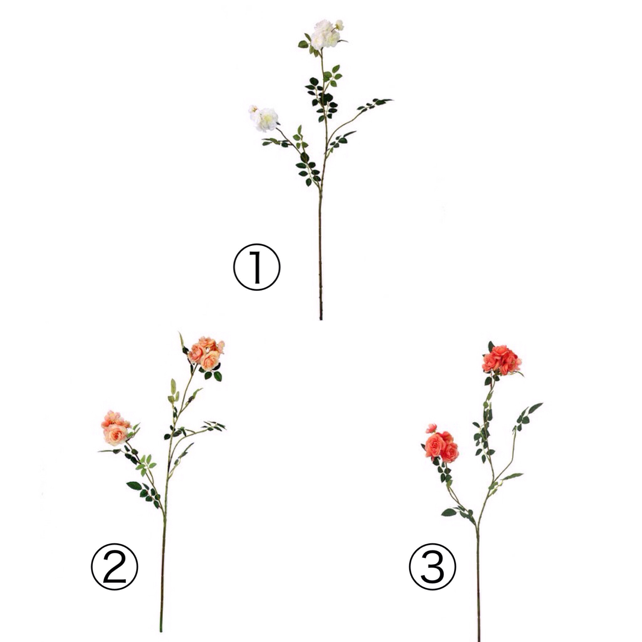 ガーデンローズ　全３色