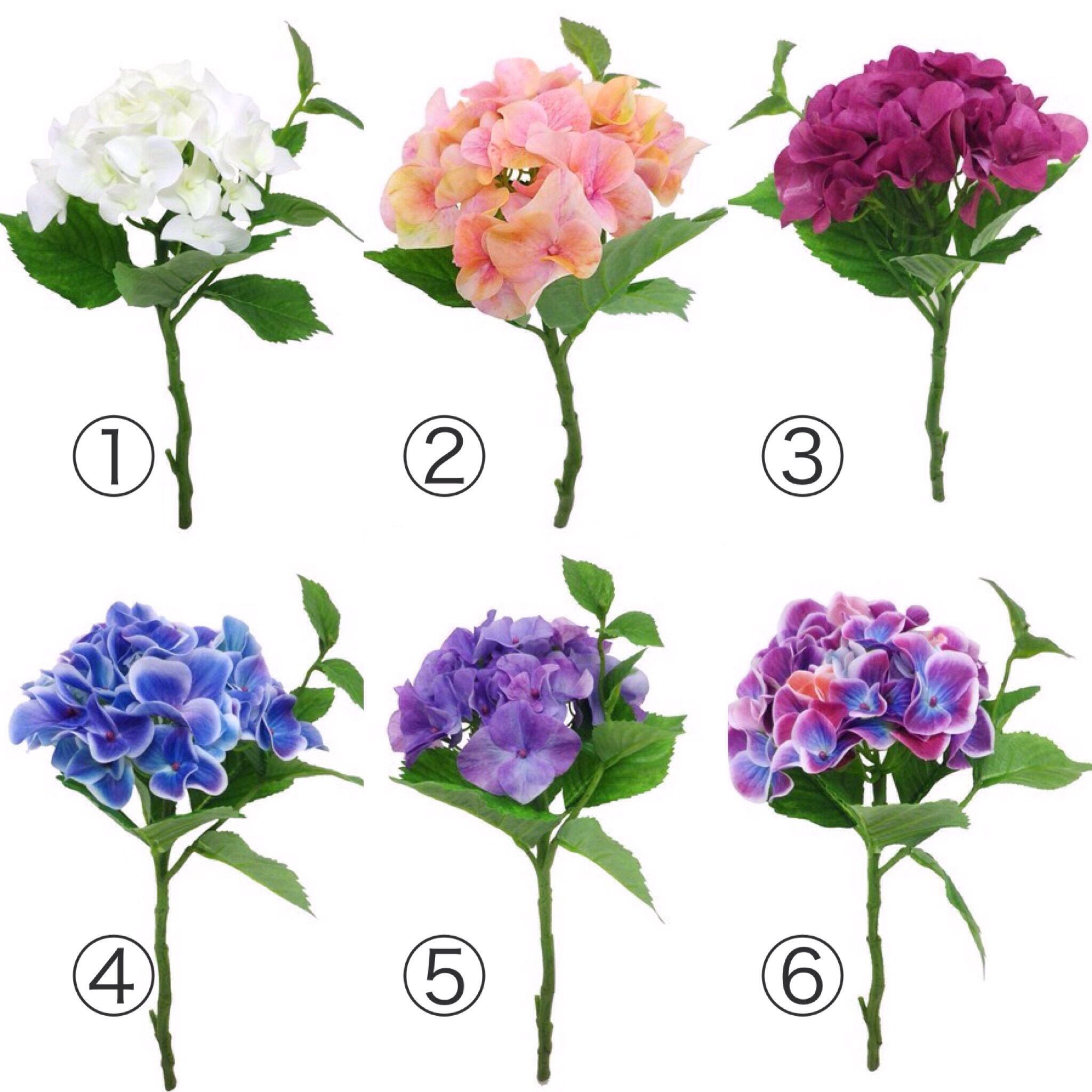【生花転写】　ハイドレンジア　(S)　全６色