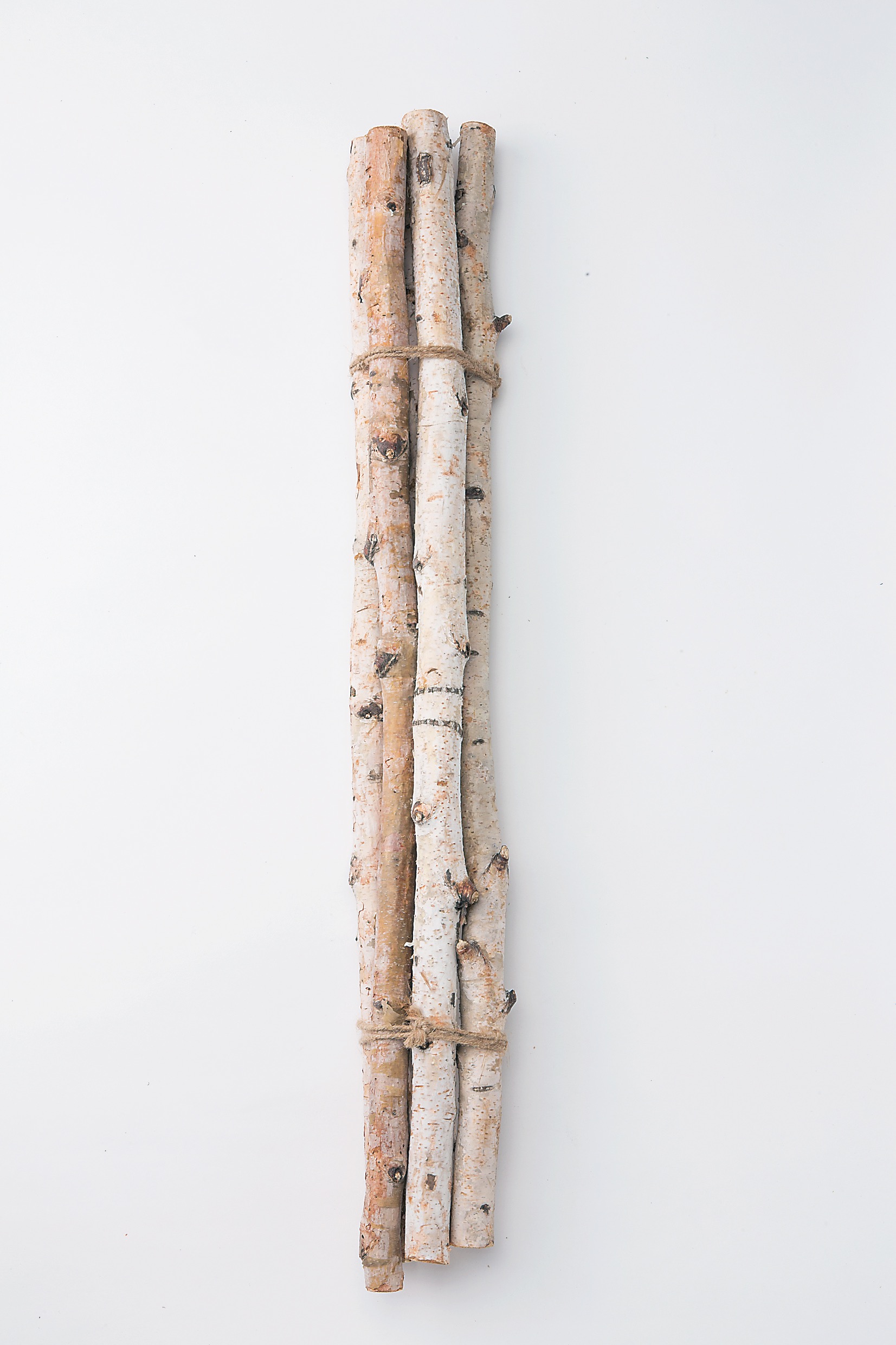 白樺枝・７０cm・N　　