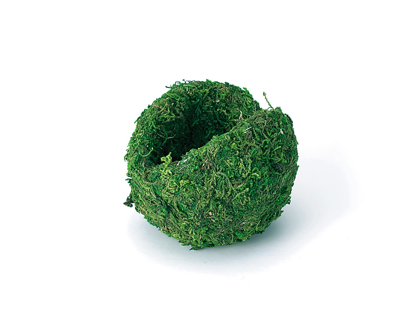 すごもりベース・小・山ゴケ・グリーン　