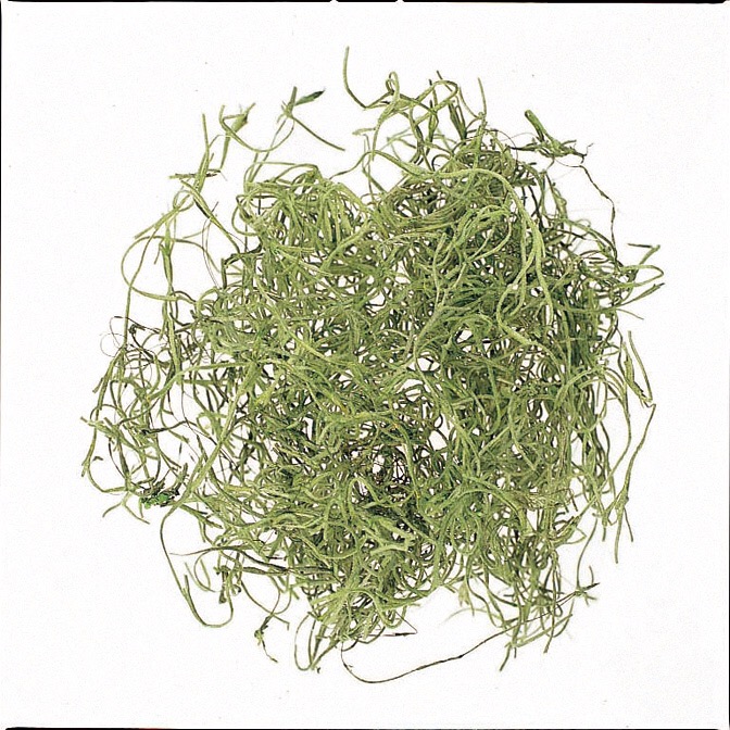 スパニッシュモス　大袋　グリーン　61063-700