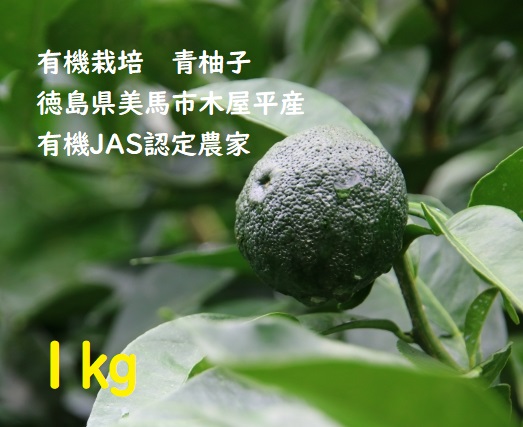 9月下旬入荷　/　有機栽培青柚子1ｋｇ　/　徳島県美馬市木屋平産　/　有機JAS認定農家　