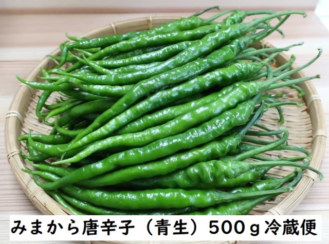 みまから唐辛子