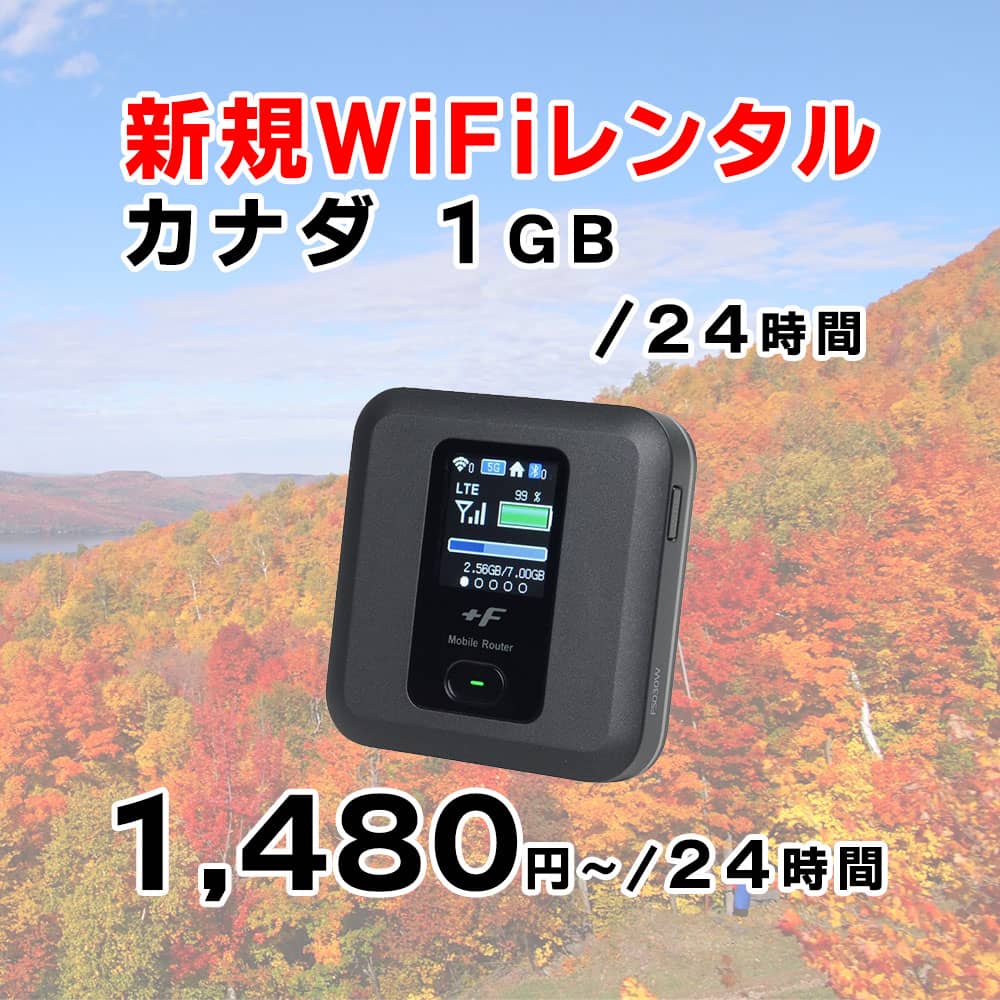カナダ,1GB,新規レンタル,サムネイル,圧縮済
