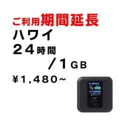 ハワイ,1GB,延長,サムネイル,圧縮済