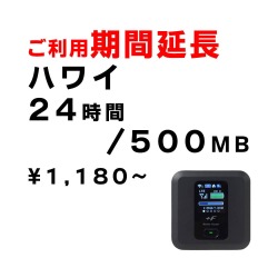 ハワイ,500MB,延長,サムネイル,圧縮済