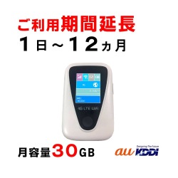 JT201,au,30GB,延長,サムネイル画像,圧縮済