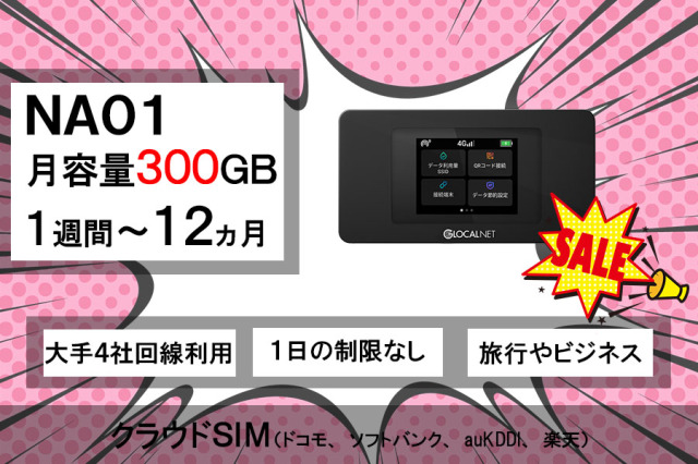 インデックス,na01,SP,セール